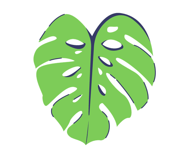 Лист пальми